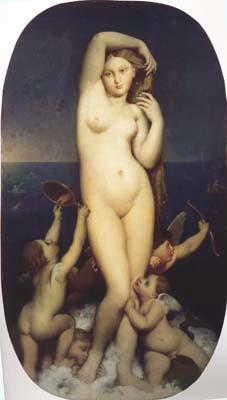 Jean Auguste Dominique Ingres The Birth of Venus (mk04)